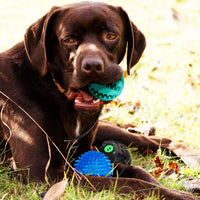 Vitscan Juguete dispensador de golosinas para perros, pelota de regalo con chirriador de goma, juguete para masticar para perros, mejor para cachorros y perros pequeños y medianos, aumenta el coeficiente intelectual y la estimulación mental (paquete de 3) - BESTMASCOTA.COM