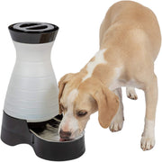 PetSafe Healthy Pet Estación de agua para perro y gato, Sistema de agua con tazón de acero inoxidable - BESTMASCOTA.COM