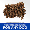 Hill de la Ciencia dieta Formación de Adultos Treat Bolsa para perro, 3 oz - BESTMASCOTA.COM