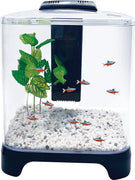 Penn Plax Betta - Kit de acuario para acuario con luz LED y filtro interno tamaño de escritorio, 1,5 galones - BESTMASCOTA.COM
