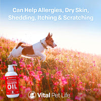 Aceite de salmón para perros, gatos y caballos, aceite de pescado Omega 3 Suplemento alimenticio para mascotas, Wild Alaskan 100% natural, ayuda a la piel seca, alergias y articulaciones, promueve un abrigo saludable, ayuda a la inflamación, 8 oz - BESTMASCOTA.COM