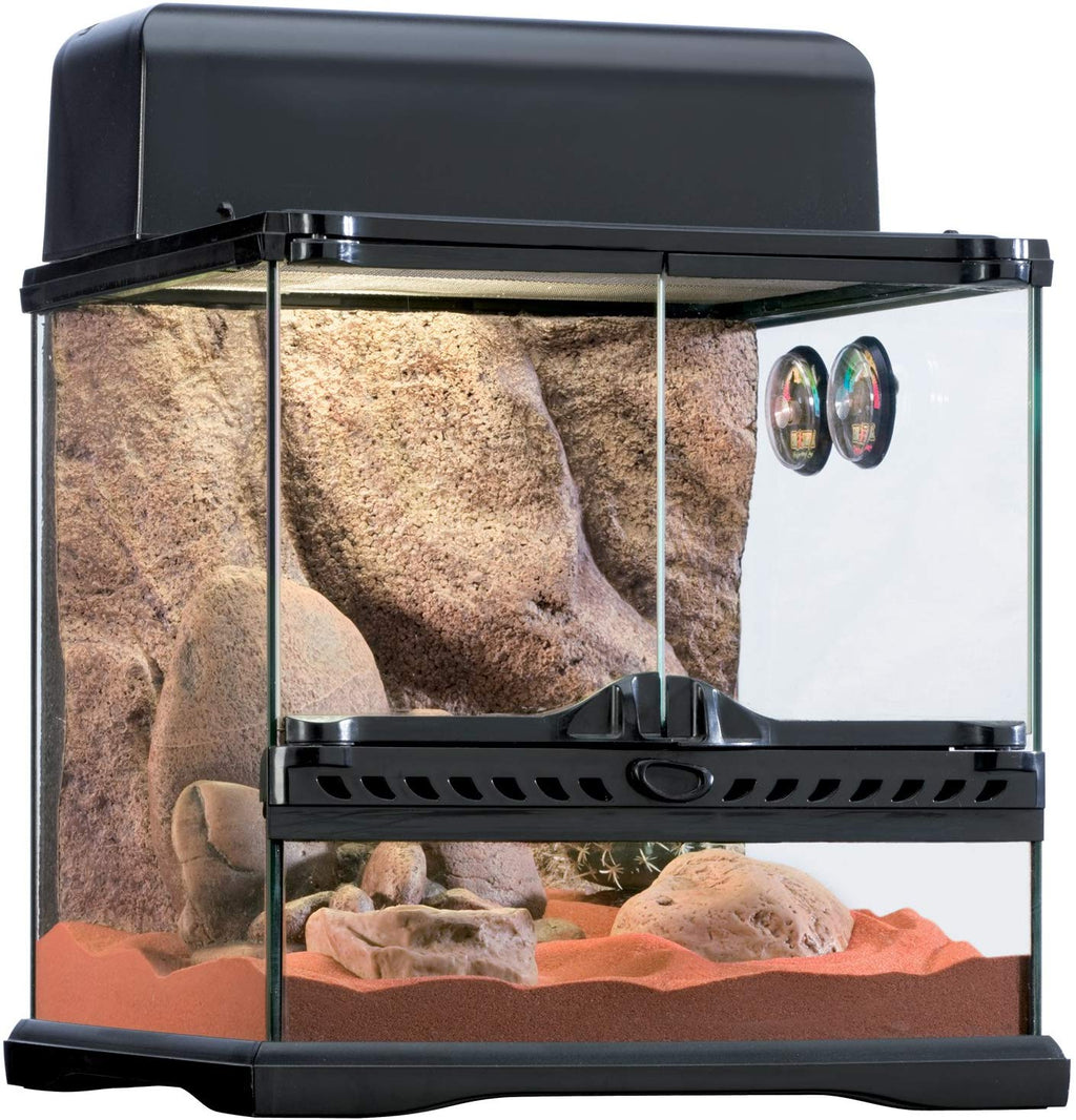 EXO TERRA Desert Habitat Kit - BESTMASCOTA.COM