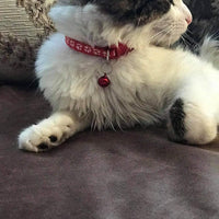 Yasma - Collar y campana para gato con hebilla de liberación rápida de seguridad, adecuada y ajustable - BESTMASCOTA.COM