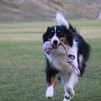 Juguete de cuerda para perros XL para gafas de huéspedes – pelota grande para perros grandes y medianos – Beneficios no resistentes al rescate de perros – Gran cuerda de poliéster para perros con salud dental – 100% algodón de cuerda de juguete para perro - BESTMASCOTA.COM