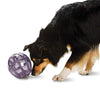 PetSafe Busy Buddy Kibble Nibble Meal Dispensing Dog Toy - BESTMASCOTA.COM