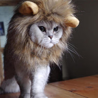Lion Mane peluca para Cat Costume - BESTMASCOTA.COM