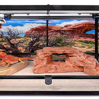 Carolina – Jaulas personalizadas para fondo de hábitat, arco doble con árbol, para terrario 36Lx24Wx18H, 3 lados Wraparound - BESTMASCOTA.COM