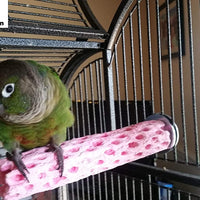 Polly de Tooty Fruity Polen Bird Perch, Mediana - BESTMASCOTA.COM