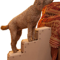 Pet Gear Easy Step III - Escalera extra ancha para mascotas, 3 pasos/para gatos y perros hasta 200 libras - BESTMASCOTA.COM