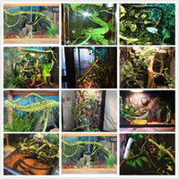 Vines de la selva flexible Pet Habitat decoración para lagartos, ranas, serpientes y otros reptiles. - BESTMASCOTA.COM
