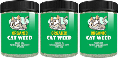 La hierba de gato orgánica tiene la máxima potencia, mezcla premium que tus gatos se volverán locos. - BESTMASCOTA.COM