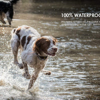 ieGeek - Collar de entrenamiento para 2 perros - Collar de choque recargable y resistente al agua - Collar eléctrico con control remoto de funcionamiento ciego de 1960 pies con tono/vibración/choque para perros pequeños/medianos/grandes - BESTMASCOTA.COM