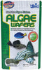 Pequeñas hostias de alga tropical Hikari para alimentar a peces herbívoros del fondo. - BESTMASCOTA.COM