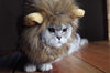 Lion Mane peluca para Cat Costume - BESTMASCOTA.COM