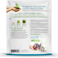 Pet Greens Self-Grow Pet Grass Kit