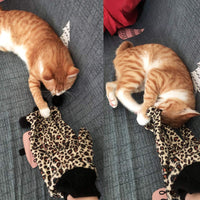 Legendog - Guantes interactivos para gato, juguetes para gatos, juguetes para gatos - BESTMASCOTA.COM