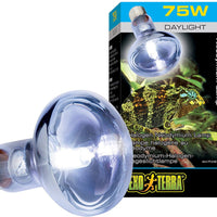 EXO TERRA Criador Basking 4pk -- Exo Terra Basking Spot Lámpara 75 W halógenas - BESTMASCOTA.COM