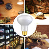 Aomryom UVA 75W 2 Pack Basking Spot Heat Lamp Bulb Soft White Light Heat Bulbs for Reptiles & Amphibians - BESTMASCOTA.COM