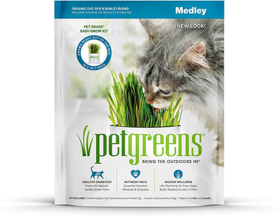 Pet Greens Self-Grow Pet Grass Kit