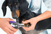 Profesional Pet Nail Clipper y recortador por hertzko – adecuado para a mediano y grande Perros y Gatos – Incluye Seguridad Guardia para evitar overcutting – de Bono. La última intervensión Nail File included. - BESTMASCOTA.COM