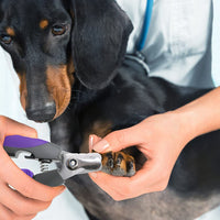 Profesional Pet Nail Clipper y recortador por hertzko – adecuado para a mediano y grande Perros y Gatos – Incluye Seguridad Guardia para evitar overcutting – de Bono. La última intervensión Nail File included. - BESTMASCOTA.COM