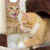 Árbol para gatos de 3 niveles, torre de felpa de varios niveles con postes para arañar, cama estilo perca, condominio de gatos y juguete para colgar para gatos y gatitos de PETMAKER (31") - BESTMASCOTA.COM