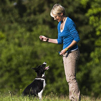 mockins 100% Entrenamiento del perro Choque remoto electrónico recargable impermeable collar con coches y vibración – E-Collar con 330 yards (990 ft) la distancia - BESTMASCOTA.COM