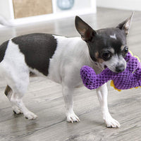 GoDog Dinos Bruto con tecnología de protección para masticar juguete para perro, Mini, morado - BESTMASCOTA.COM