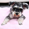 PAWZ - Manta para perro, suave, suave y cálida, doble cara, sin pelusas, para perros y gatos y animales pequeños, tamaño pequeño - BESTMASCOTA.COM