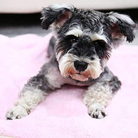 PAWZ - Manta para perro, suave, suave y cálida, doble cara, sin pelusas, para perros y gatos y animales pequeños, tamaño pequeño - BESTMASCOTA.COM
