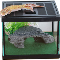 Glass Tank Spider Box Kit for Tarantula Feeder Insects Beetle Amphibians Terrarium Small pet,Washable mat,Resin Rock Shape Hideout, Artificial Flower - BESTMASCOTA.COM