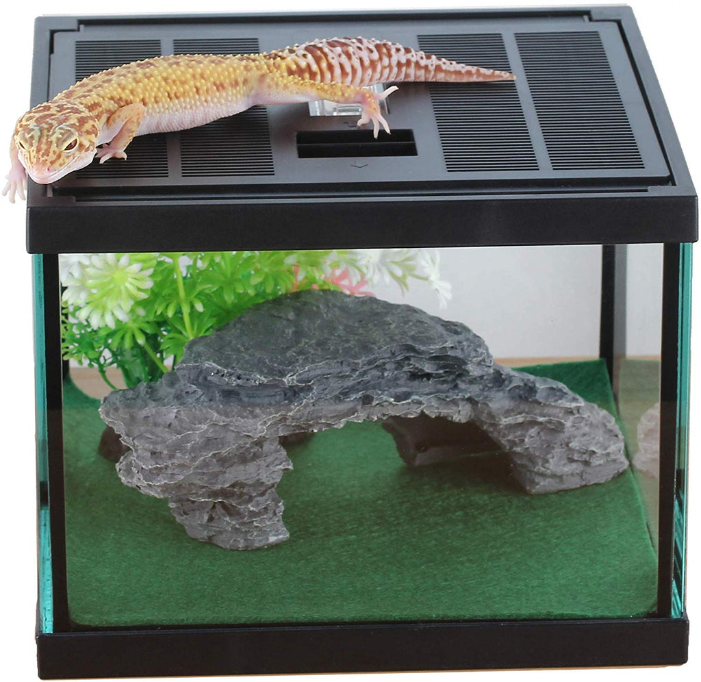 Glass Tank Spider Box Kit for Tarantula Feeder Insects Beetle Amphibians Terrarium Small pet,Washable mat,Resin Rock Shape Hideout, Artificial Flower - BESTMASCOTA.COM