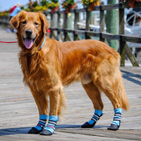 Bark Brite - Botas protectoras de neopreno para perro, diseño de huella de perro, 5 tamaños - BESTMASCOTA.COM
