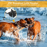 TeqHome Shock Collar for Dogs, 2020 Newest Dog Training Collar, Rechargeable Dog Shock Collar with Remote 2600Ft, 3 Modes Beep Vibration and Shock Waterproof Bark Collar for Small Medium Large Dogs - BESTMASCOTA.COM