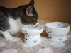 necoichi Raised Cat alimentos y agua Bowl Set (Cat) - BESTMASCOTA.COM