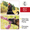 Dog Toys for Aggressive Chewers - Large Dog Toys - 3 Nearly Indestructible Chewing Ropes - Durable Heavy Duty Dental Chew Toys for Big Dogs - Dog Rope Chew Toys - Tug of War Dog Toy - Tough Dog Toys - BESTMASCOTA.COM