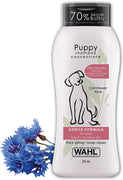 Champú suave para cachorros Wahl para mascotas de Cornflower Aloe con ingredientes para aseo de perros sucios 24 onzas - BESTMASCOTA.COM