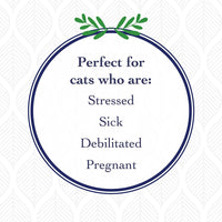 synergylabs Organics Pasta de nutrientes para gatos de Richard; 4,25 oz. - BESTMASCOTA.COM