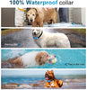 TOTIE Collar de corteza para perro – 7 niveles de sensibilidad e intensidad ajustables, modos de resistencia duales, recargable, resistente a la lluvia, reflectante, sin control de ladridos para perros pequeños, medianos y grandes., s, Azul - BESTMASCOTA.COM