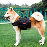 OneTigris – Mochila para perro de viaje de camping senderismo para perro mediano y grande - BESTMASCOTA.COM
