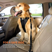Toozey - Cinturón de asiento para perro - BESTMASCOTA.COM