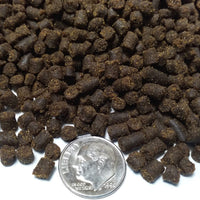 Axolotl Food, pellets de hundimiento húmedo suave para axolotles, camarones, caracoles y peces tropicales de 3/16 pulgadas Rangen Pellets