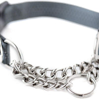 Collar de entrenamiento Mighty Paw, collar Martingale, calidad premium, limitado, collar cincha, collar reflectante para perros - BESTMASCOTA.COM