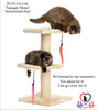 Pet Fit para la vida 5 pieza Pack de gusanos de repuesto para interactivo gato y kitten Toy wands - BESTMASCOTA.COM