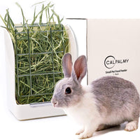 CalPalmy - Comedero para heno (ideal para conejos, chinchilla/conejillo de indias, mantiene la hierba limpia y fresca/no tóxica, plástico libre de BPA) - BESTMASCOTA.COM