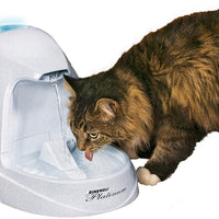 PetSafe Drinkwell Fuente de agua para gatos y perros – Platino, 1/2 o 1 galón para mascotas – 64 oz, 128 oz o 168 oz - BESTMASCOTA.COM