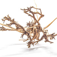 Artes Acuático 1 X-Large pieza de tigre madera Acuario Natural Driftwood, 14 – 18" - BESTMASCOTA.COM