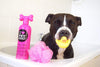 Pet Head de la vida una Champú Itch Piel relajante, Rojo - BESTMASCOTA.COM