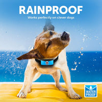 Collar pequeño para perro recargable, antiladridos para perros pequeños – el más pequeño más humano para dejar de ladrar – el collar de entrenamiento de perro sin corteza de choque impermeable – Dispositivo seguro de control de corteza para mascotas - BESTMASCOTA.COM