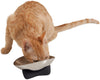 Jackson Galaxy Nova Acero Inoxidable Gato tazón - BESTMASCOTA.COM